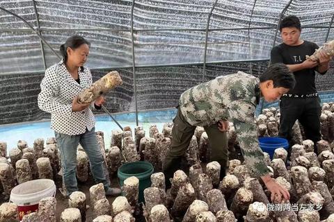 夏日炎炎，轻松赚钱！夏天可以做什么视频赚钱