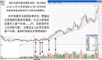 投资领域中的黄金法则，如何选择最具盈利潜力的产品