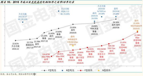 渔港发展新视野，探寻多元化盈利途径