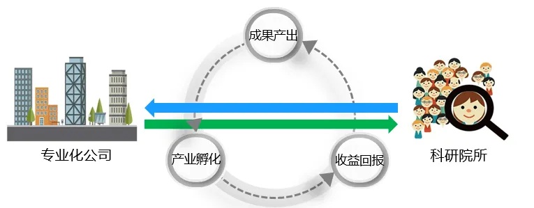 探寻多元化路径，上海赚钱秘籍与创新实践