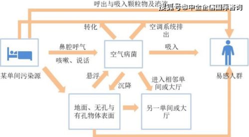 医疗项目赚钱，可行的途径与考虑因素