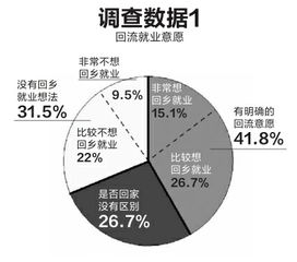 面点专业，探索高收益的就业机会与创业路径