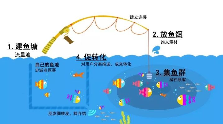 多元化水族养殖业务，创新与盈利并行的道路