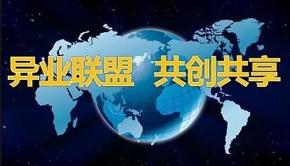 联盟在做什么赚钱的？揭秘企业、政府与非营利组织的合作之道