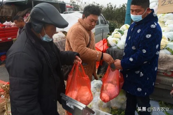 农村人最常见的赚钱方式