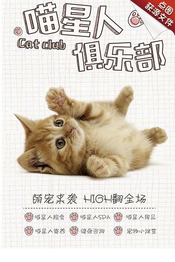 猫咪创业新思维，宠物经济下的喵星人赚钱秘籍