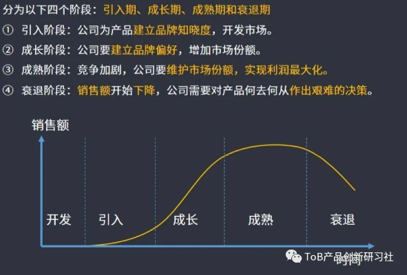 科技企业成功之道，探索最快盈利路径