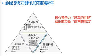 联盟的力量，如何通过精选联盟实现持续增长的盈利策略