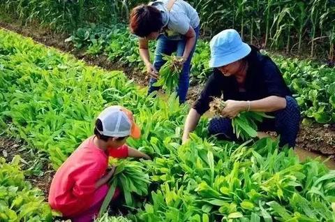 劳务派遣中介，如何通过提供增值服务赚钱