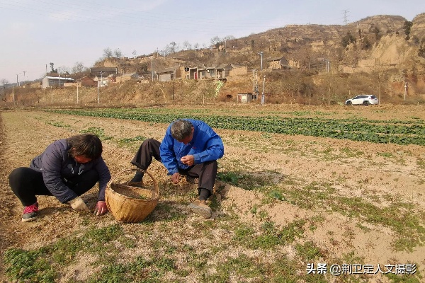 陕西农民做什么饭赚钱