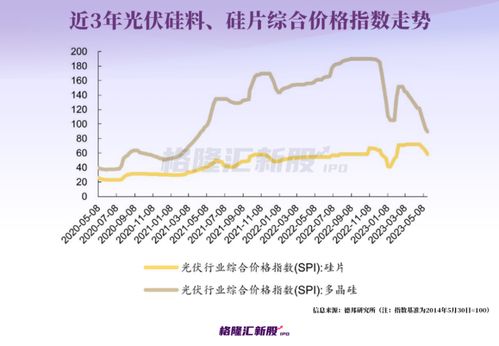 中山夫妻的创业之路，探索多元收入来源与职业选择