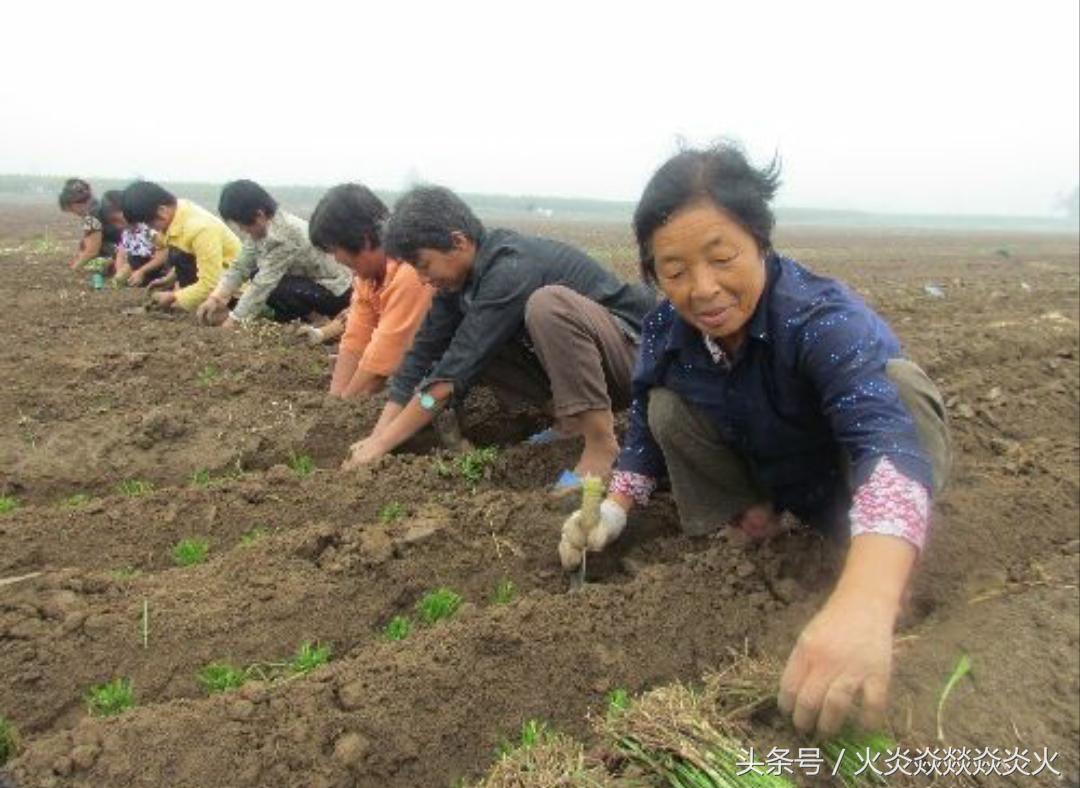 冬日居家赚钱秘籍，宅在家里也能赚大钱