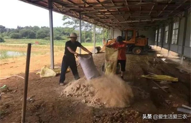 农村做什么饲料好赚钱