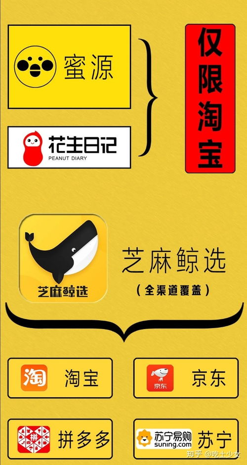 带宝贝做什么最赚钱？