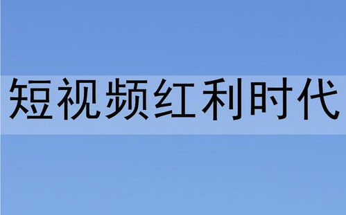 新手做什么采购好赚钱？