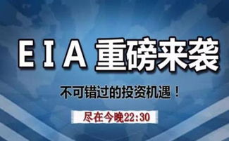 新西兰赚钱最快的行业，探寻投资和创业的黄金机会