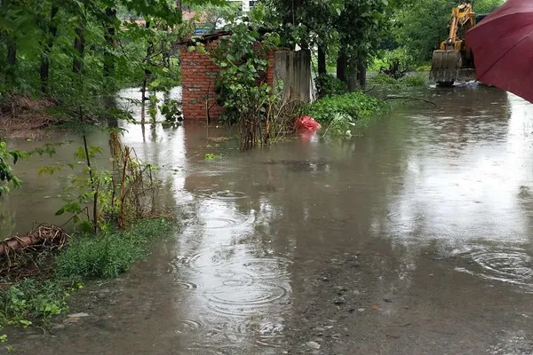 农村暴雨做什么好赚钱？