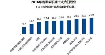 职业选择与收入水平，探索高收入工作的秘诀