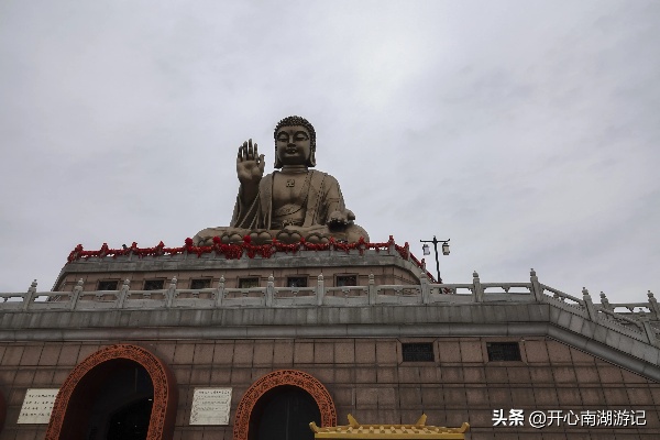 龙口南山做什么生意赚钱？