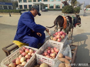 中国老人做什么生意赚钱？