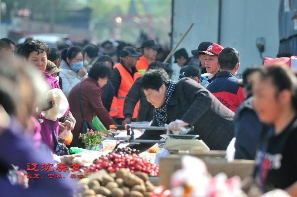 沈阳早市做什么生意赚钱