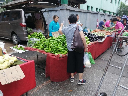 沈阳早市做什么生意赚钱