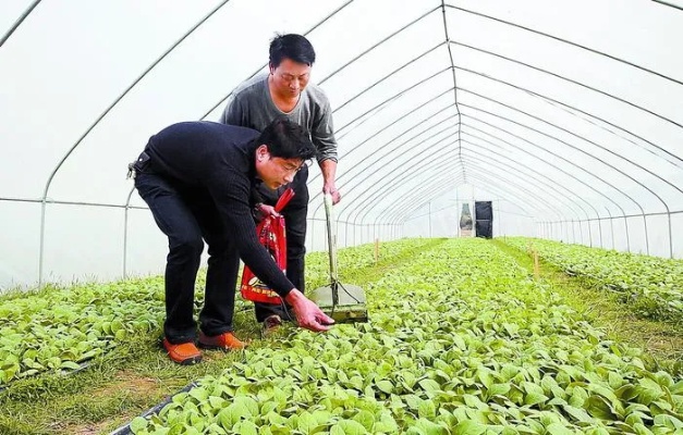 农村乡镇创业项目大盘点，副业赚钱新思路助力乡村振兴