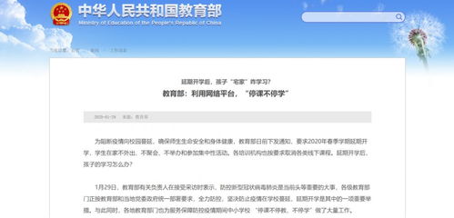 老师如何利用网络平台进行有效推广，从而实现多元化创收