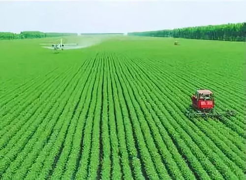 农民谷雨做什么农活赚钱