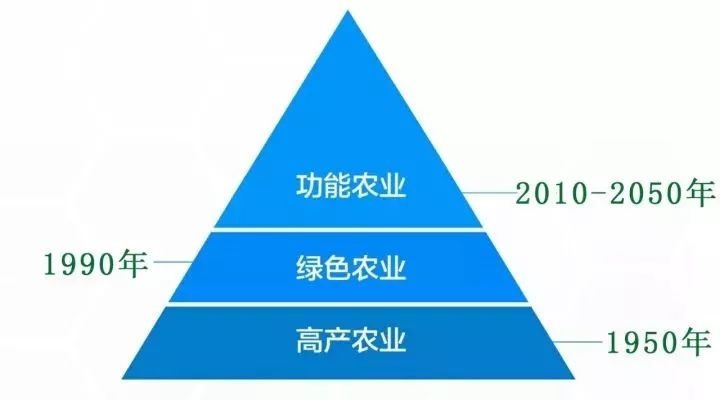 农业行业的未来发展与高利润项目