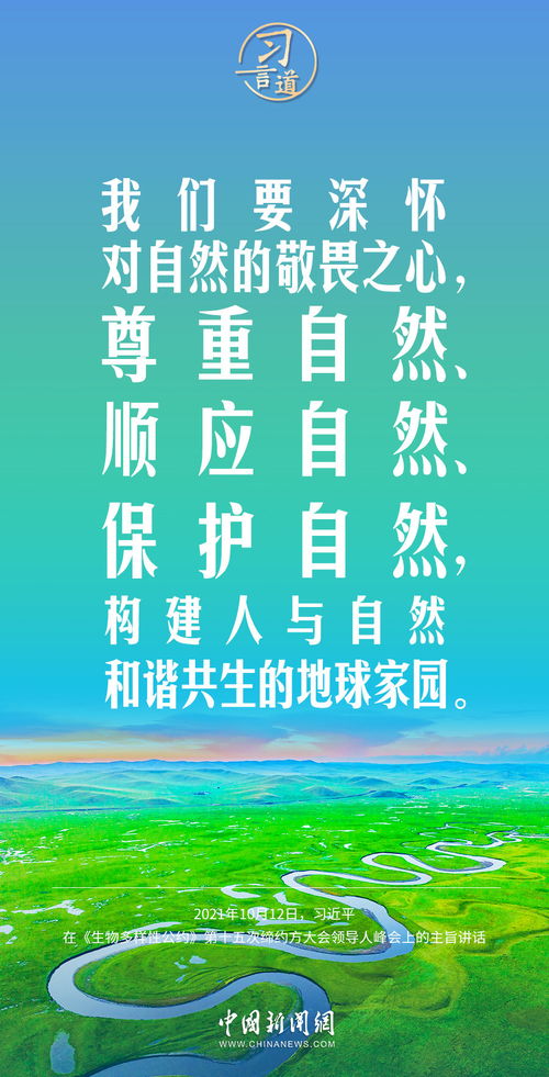 丽水赚钱好生意之我见