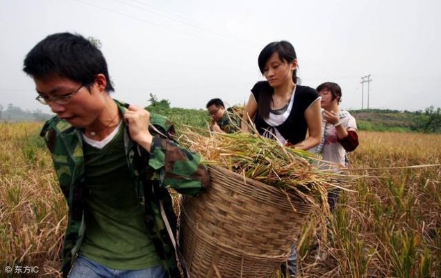 农民回家做什么赚钱最快？