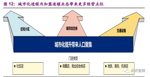 摆摊创业，深度解析如何选择鱼类产品以实现高利润销售