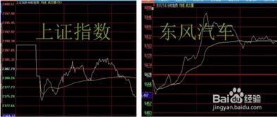 股票新手做什么赚钱最快？