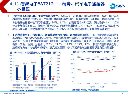 探讨多元化赚钱策略，助力还清外债