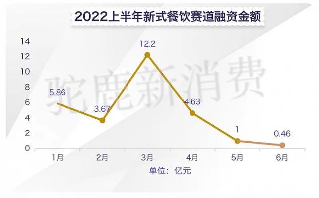 2022年，新餐饮趋势与赚钱秘籍，探索未知美食领域，发掘新兴收入来源