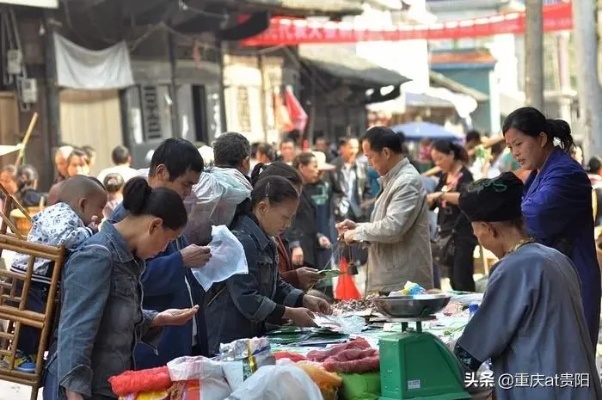 浦城做什么生意赚钱多？