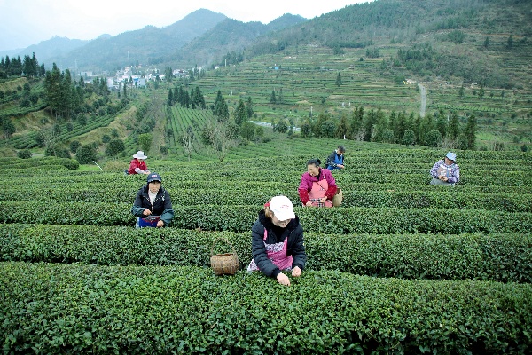 在印江做什么生意赚钱