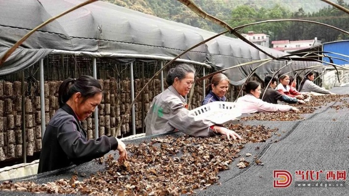 在天峨做什么生意赚钱