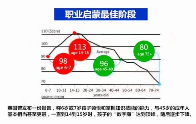 儿子的职业规划，探索高收入职业道路