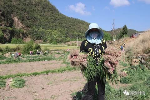 充分利用家里田地资源，实现多元化增收