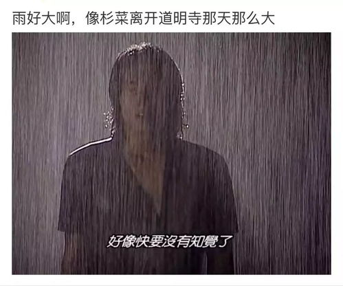 暴雨天做什么生意最赚钱？暴利行业盘点