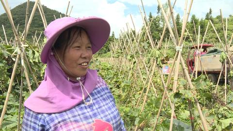 充分利用家中土地，挖掘多元化收入来源