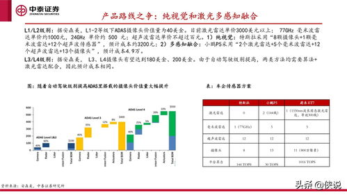 榆林商业发展新机遇，探索多元化盈利路径