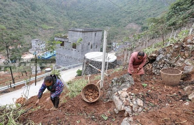 贵州山区地方做什么赚钱