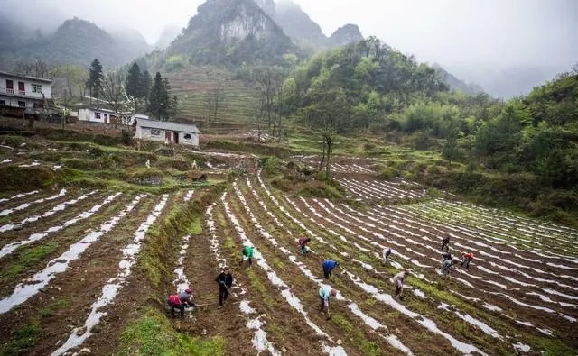 贵州山区地方做什么赚钱