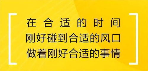 闲时副业赚钱，实现经济自由的秘诀