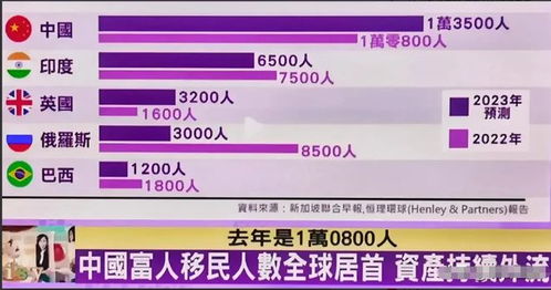 小布的2023年财富秘籍，如何在今年实现最大盈利