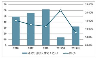 探索合肥，投资项目的选择与盈利前景分析