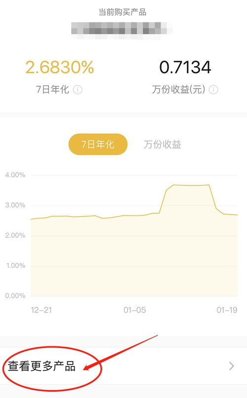 春节期间，赚取额外收入的10个有趣建议